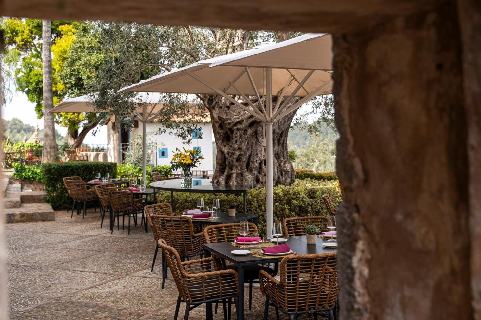 Ca'S Xorc Luxury Retreat - Adults Only Hotel Soller Exterior photo